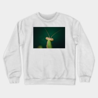 Mantis Crewneck Sweatshirt